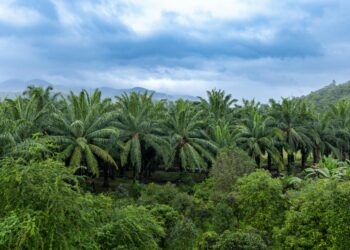 As Fuel Costs Bite, Malaysia’s SAF Ambitions Take on New Urgency