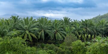 As Fuel Costs Bite, Malaysia’s SAF Ambitions Take on New Urgency